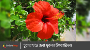 জবা ফুলের উপকারিতা